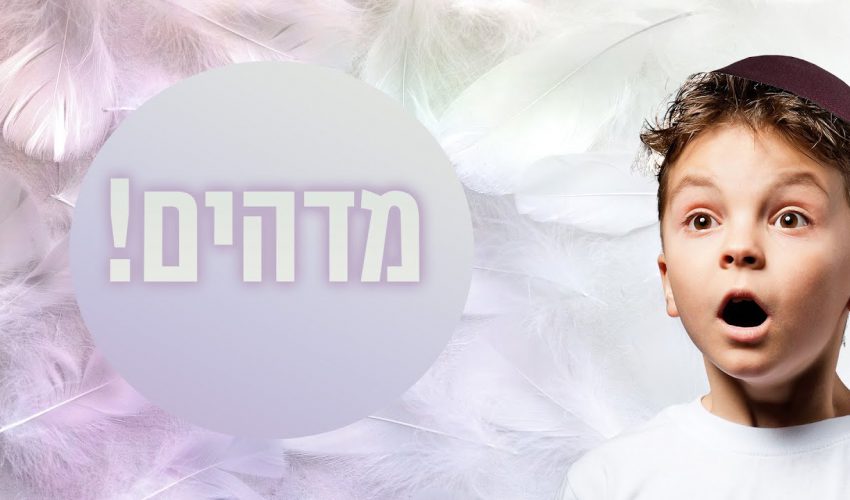 מה אמר הרב לבנו הקטן שגרם לו להתרגש? ואיך זה קשור למלאכים?