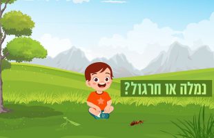 איך נגלה אם תכונת ילדינו הוא נמלתי או חרגולי? ואיך נעזור להם להשתפר?