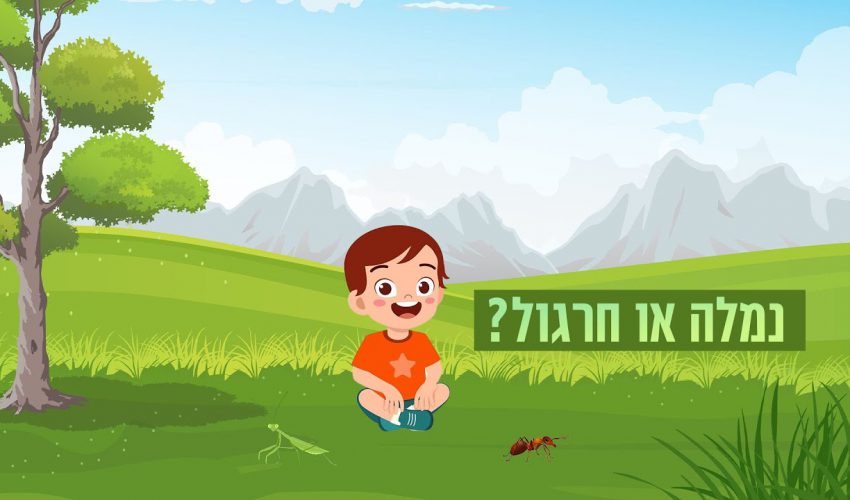 איך נגלה אם תכונת ילדינו הוא נמלתי או חרגולי? ואיך נעזור להם להשתפר?