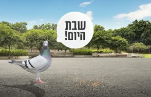 האם זה נכון שיונה לא תאכל מדבר שתלש יהודי בשבת?