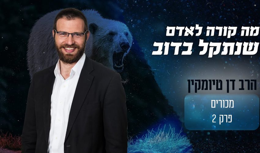 מה קורה לאדם במוח כשרואה דוב מפחיד ביער?