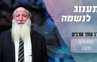 איך אפשר להרגיש תענוג בלימוד התורה?