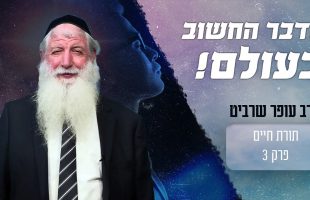 מה הדבר החשוב ביותר בעולם שבשבילו האדם נברא?