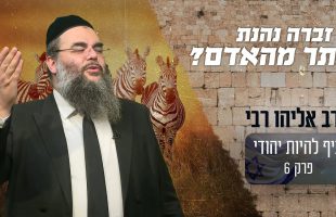 האם החיים של הזברה יותר טובים משל האדם?