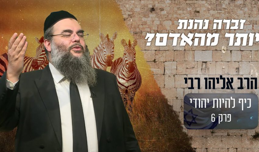 האם החיים של הזברה יותר טובים משל האדם?