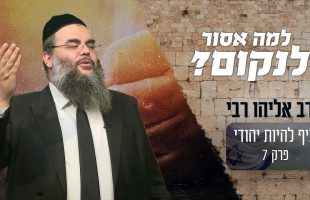 למה התורה אוסרת על האדם לנקום?