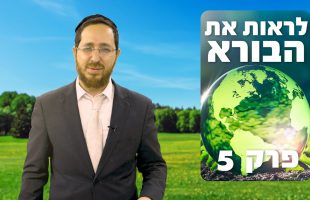 טיפ קצרצר לזוגיות – איך אפשר לרומם את הזוגיות?