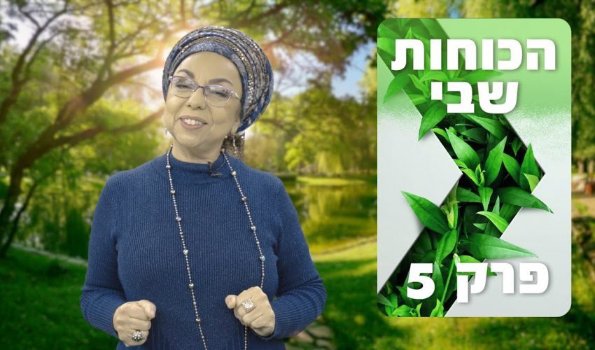 איך אפשר להשפיע על כל בן אדם בלי לדבר איתו?