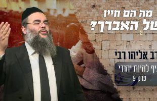 איך הגיב הרב כשאמר לו אדם שישלח את האברכים לעבוד?