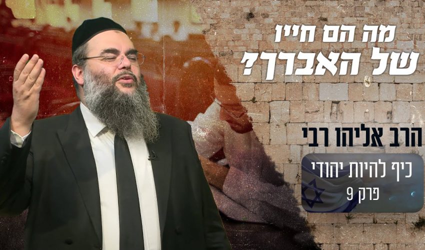 איך הגיב הרב כשאמר לו אדם שישלח את האברכים לעבוד?