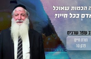 ואו! מה הכמות של האוכל שאדם אוכל בכל חייו?