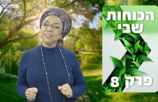 למה הציור של וואן גוך שווה מליונים? – הרב שלמה לוינשטיין בסיפור מדהים