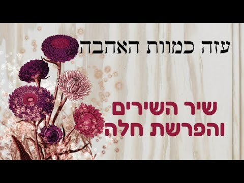 הידברות בשידור חי!