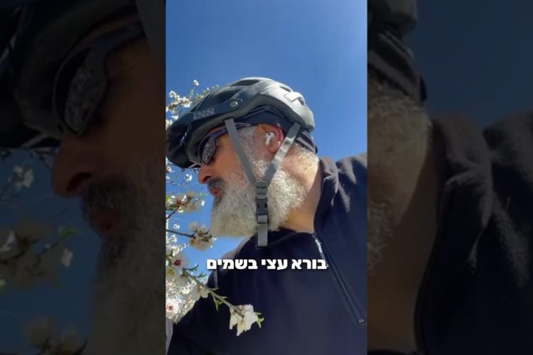 מדוע עם ישראל דומים לשקד?