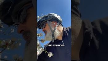 הידברות בשידור חי!