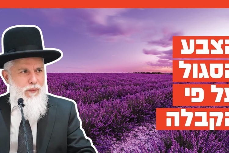 השבת שומרת על החיילים ועלינו