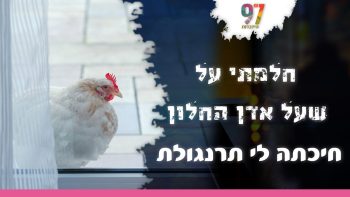 הרה”ג זמיר כהן – צירי הלידה לפני ביאת המשיח
