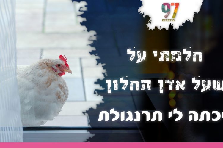 הרה”ג זמיר כהן – צירי הלידה לפני ביאת המשיח