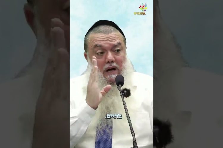 השם יפרוס לך את השטיחים הכי יפים בעולם